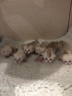 Just-starting-to-crawl