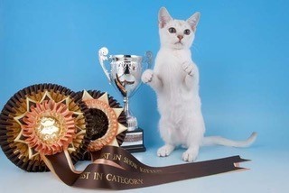 Look-at-me-with-my-trophy