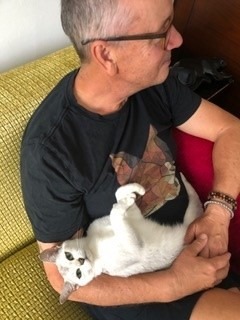 Typical-Burmilla-cuddle-upside-down